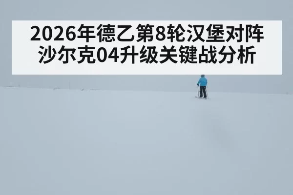2026年德乙第8轮汉堡对阵沙尔克04升级关键战分析